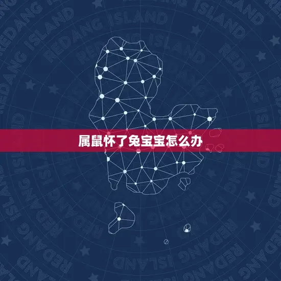 属鼠怀了兔宝宝怎么办 属鼠怀了兔宝宝怎么办