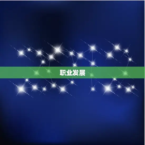 职业发展