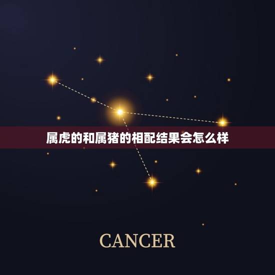 属虎的和属猪的相配结果会怎么样,属猪和属虎的人配吗?求解答 属虎的和属猪的相配结果会怎么样,属猪和属虎的人配吗?求解答