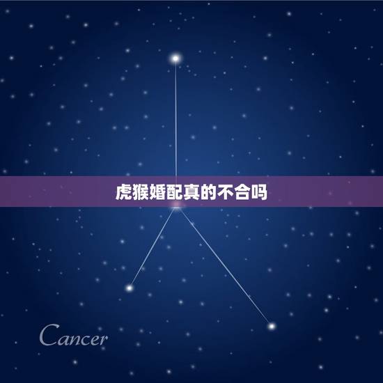 虎猴婚配真的不合吗？常见的几种错误的合婚方法