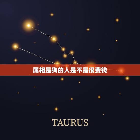 属相是狗的人是不是很费钱，属狗的人的性格是什么样？