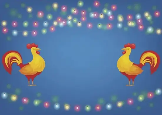 生肖鸡爱情价值观