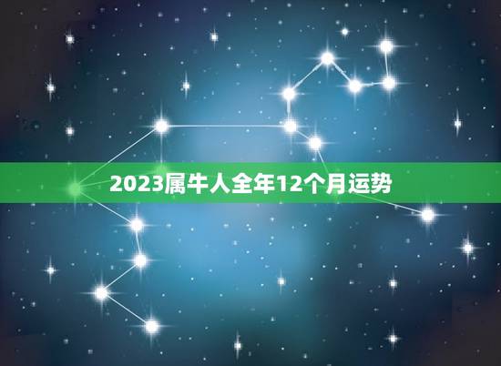 2023属牛人全年12个月运势，2023年牛年运势？
