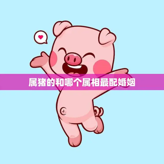 属猪的和哪个属相最配婚姻(星座专家揭秘最佳组合)