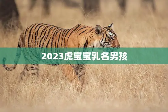 2023虎宝宝乳名男孩(迎接新生命的到来)