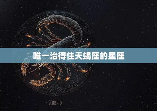 唯一治得住天蝎座的星座(揭秘如何与天蝎座和平共处)