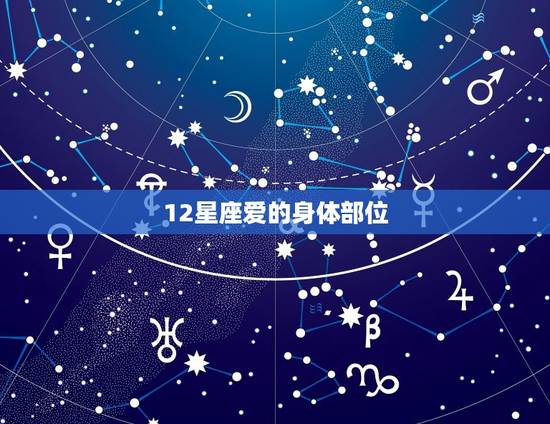 12星座爱的身体部位，十二星座谁的身体