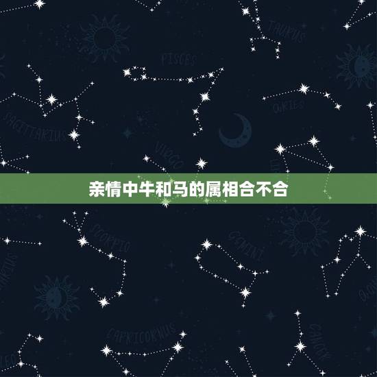 亲情中牛和马的属相合不合，家人中属马的和属牛的合不合