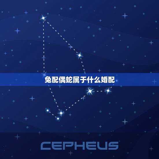 兔配偶蛇属于什么婚配,属相兔和蛇的婚配如何 兔配偶蛇属于什么婚配,属相兔和蛇的婚配如何