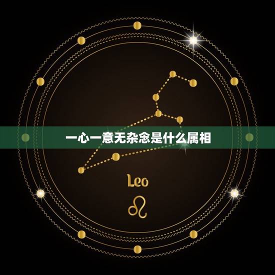 一心一意无杂念是什么属相，一心一意无杂念是什么动物