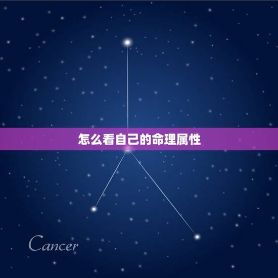 怎么看自己的命理属性，怎么看自己电脑属性