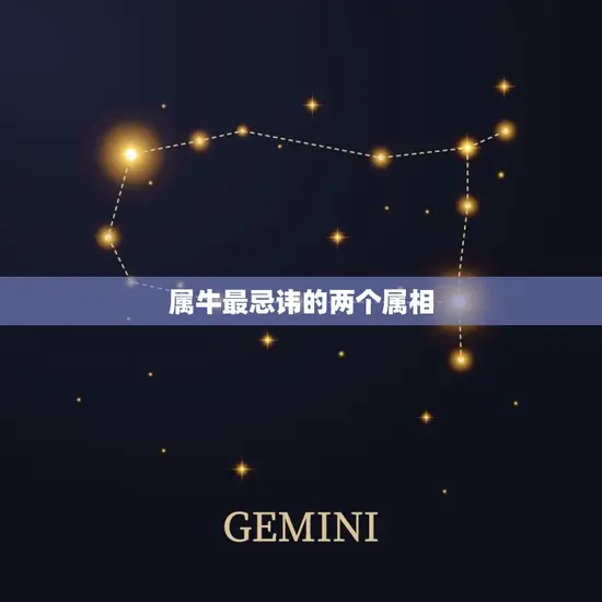 属牛最忌讳的两个属相