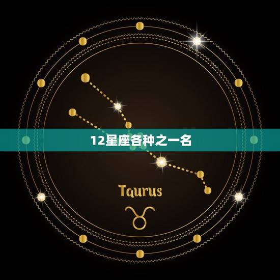 12星座各种之一名,12星座爱情配对 12星座各种之一名,12星座爱情配对