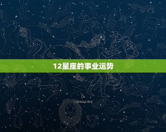 12星座的事业运势 12星座的事业运势