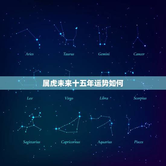 属虎未来十五年运势如何