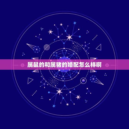 属鼠的和属猪的婚配怎么样啊,属鼠的和属猪的婚配如何 属鼠的和属猪的婚配怎么样啊,属鼠的和属猪的婚配如何