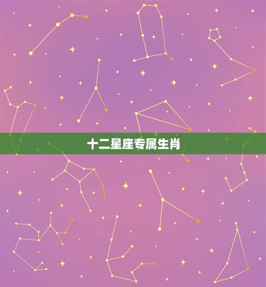 十二星座专属生肖，12生肖各代表什么星座