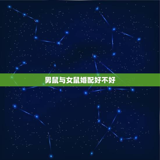 男鼠与女鼠婚配好不好，属鼠男与属羊女相配婚姻好不好？