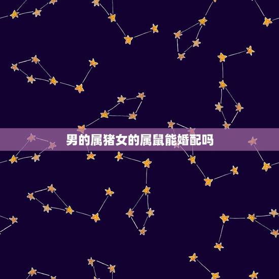 男的属猪女的属鼠能婚配吗，男属猪和女属鼠相配吗