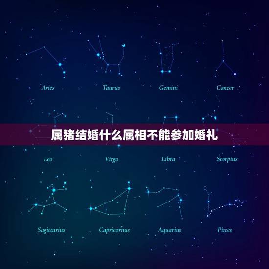 属猪结婚什么属相不能参加婚礼，属猪的和属猪的人结婚忌讳什么属相的当伴娘