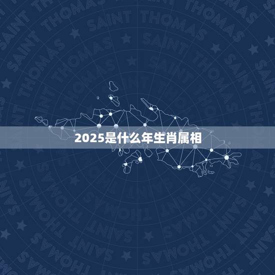 2025是什么年生肖属相，2023年是什么生肖年