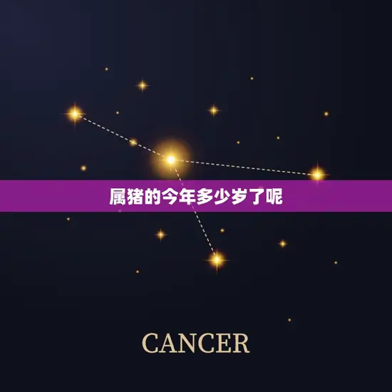属猪的今年多少岁了呢
