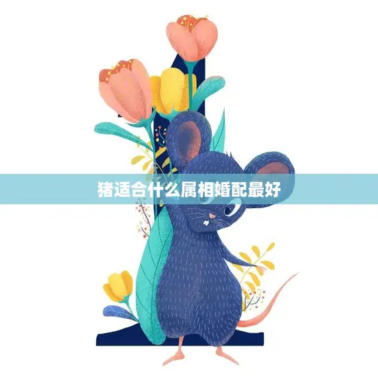 猪适合什么属相婚配最好(探秘十二生肖中最佳配偶组合)