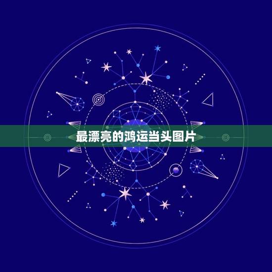 最漂亮的鸿运当头图片,鸿运当头的花怎么养 最漂亮的鸿运当头图片,鸿运当头的花怎么养