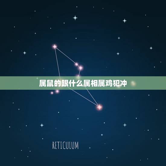 属鼠的跟什么属相属鸡犯冲，属鼠和属鸡的相冲吗