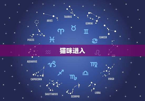 猫咪进入，猫咪原主人老是要求看猫咪被我拒绝了，还说她就