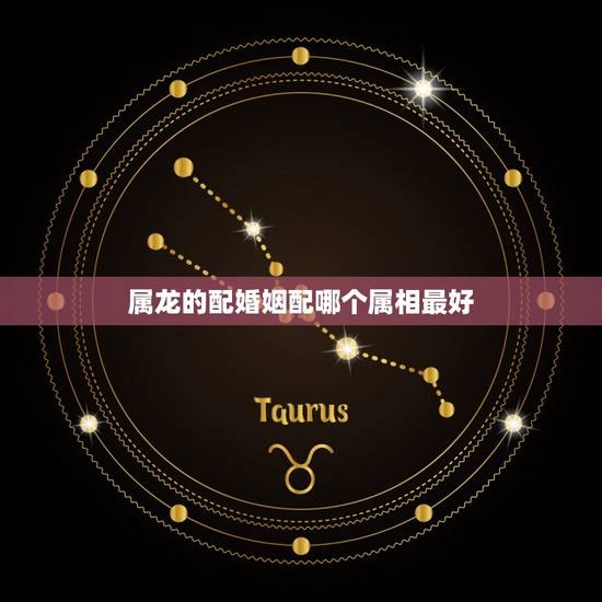 属龙的配婚姻配哪个属相最好，属龙的跟什么属相婚配好