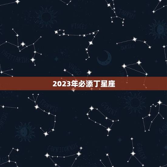 2023年必添丁星座