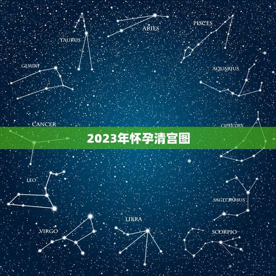 2023年怀孕清宫图，清宫图2023年生男生女表怎么算
