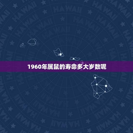 1960年属鼠的寿命多大岁数呢(探寻属鼠人的长寿方法)