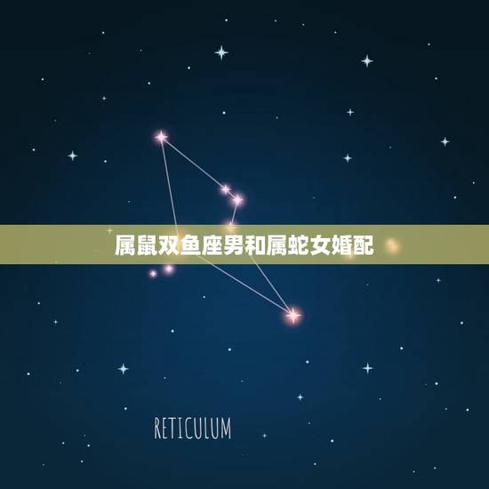 属鼠双鱼座男和属蛇女婚配，属鼠双鱼座男生和属蛇羯女婚配