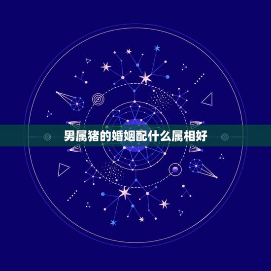 男属猪的婚姻配什么属相好，属猪人男可以与什么属相相配