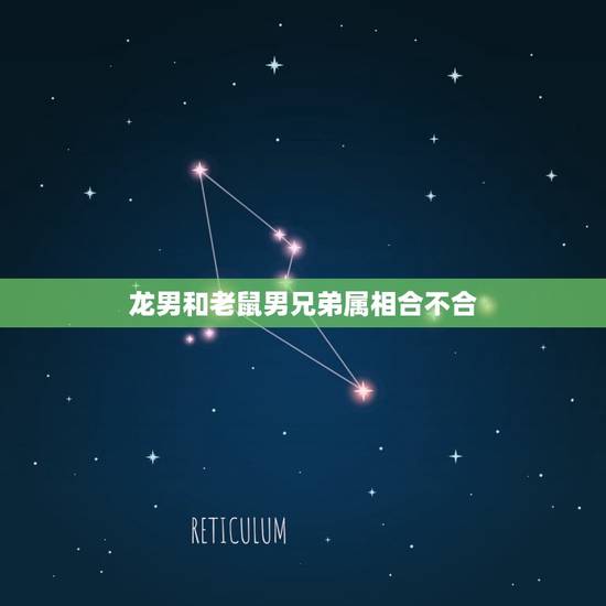 龙男和老鼠男兄弟属相合不合，属龙男和什么属相最配