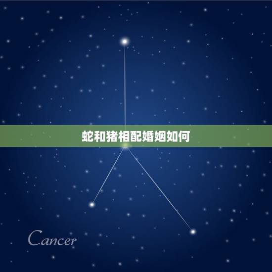 蛇和猪相配婚姻如何，猪与蛇相配对谁不利