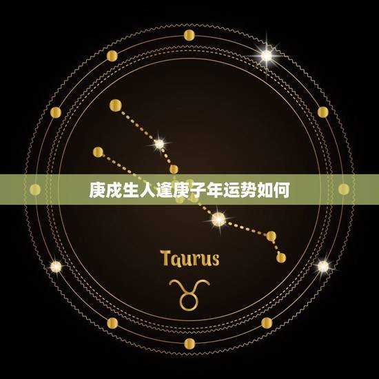 庚戍生人逢庚子年运势如何