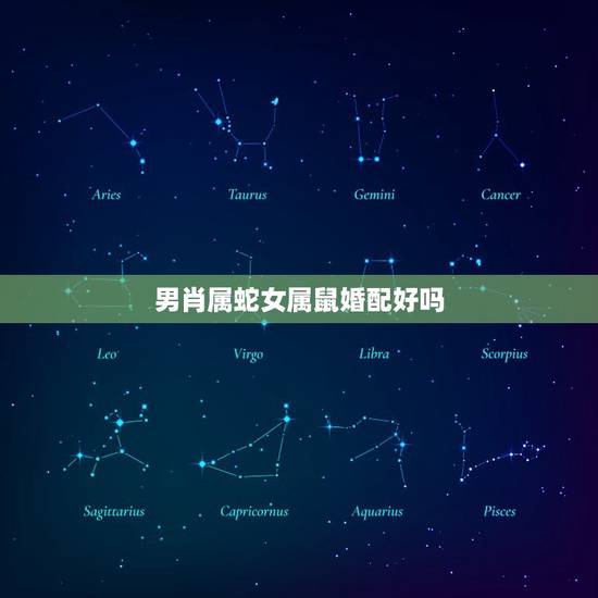 男肖属蛇女属鼠婚配好吗，属蛇的最佳婚配是什么？属鼠的配吗