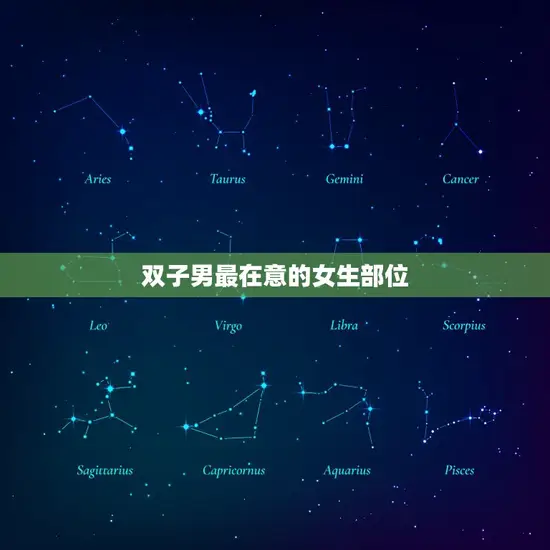 双子男最在意的女生部位