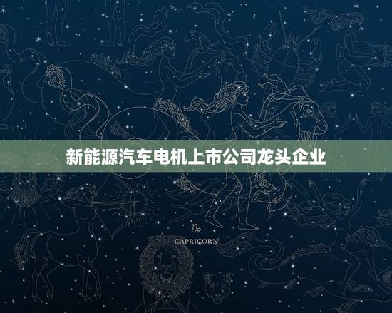 新能源汽车电机上市公司龙头企业，新能源汽车电机上市公司龙头企业有哪些