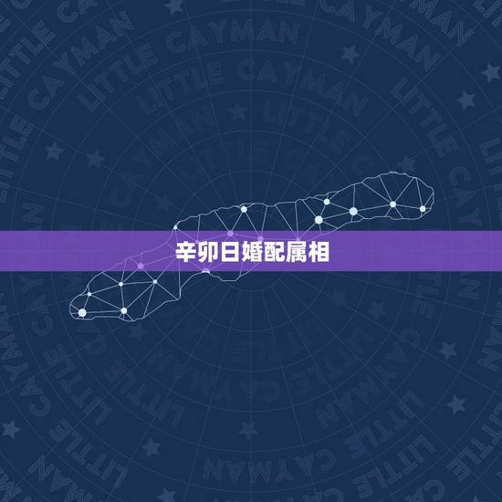 辛卯日婚配属相，我是1981年二月初九17：20生，相问姻缘，请们