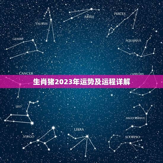 生肖猪2023年运势及运程详解，生肖猪2023年运势及运程详解视频
