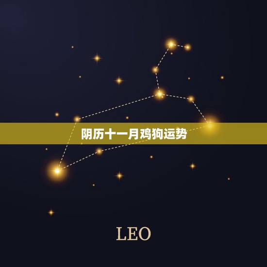 阴历十一月鸡狗运势，属猪阴历十一月运势