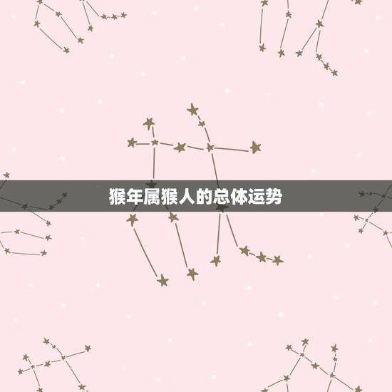 猴年属猴人的总体运势