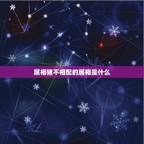 属相猪不相配的属相是什么，属猪和什么属相最配？和什么属相不配