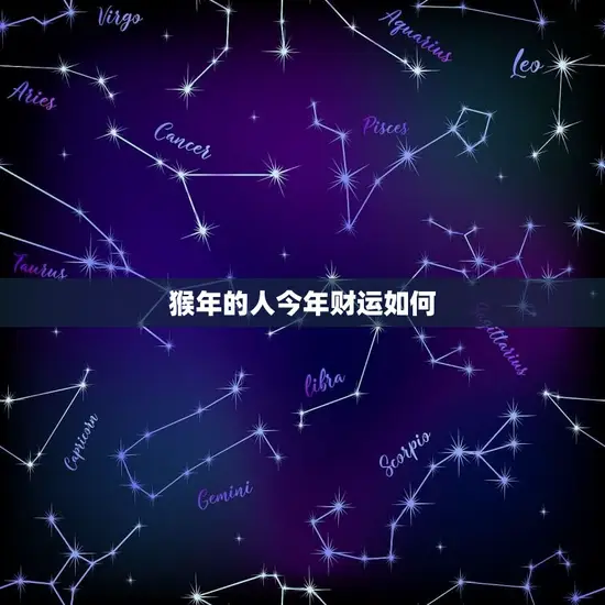 猴年的人今年财运如何