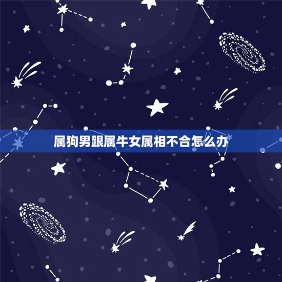 属狗男跟属牛女属相不合怎么办，属狗和属牛的合不合