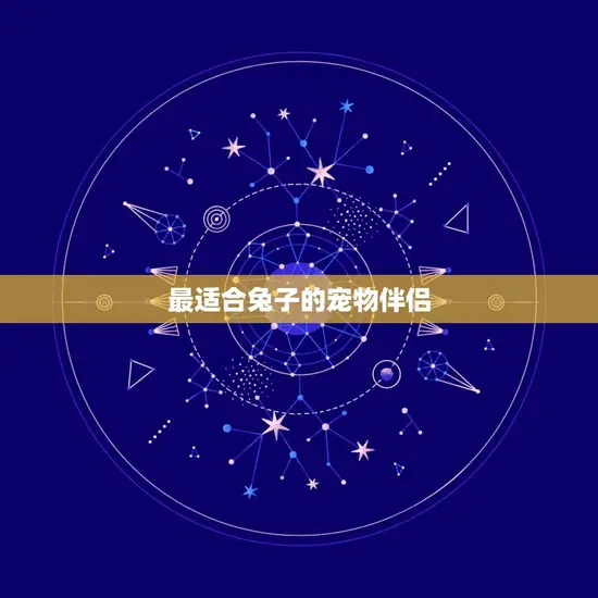 最适合兔子的宠物伴侣